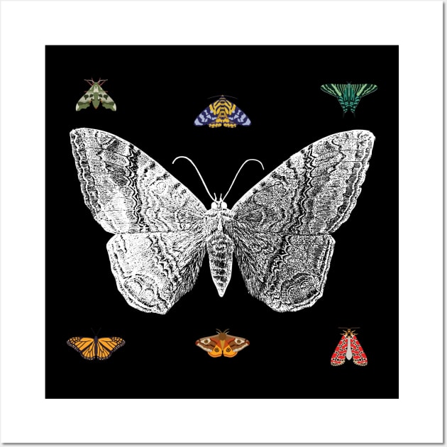 Lepidoptera Wall Art by psanchez